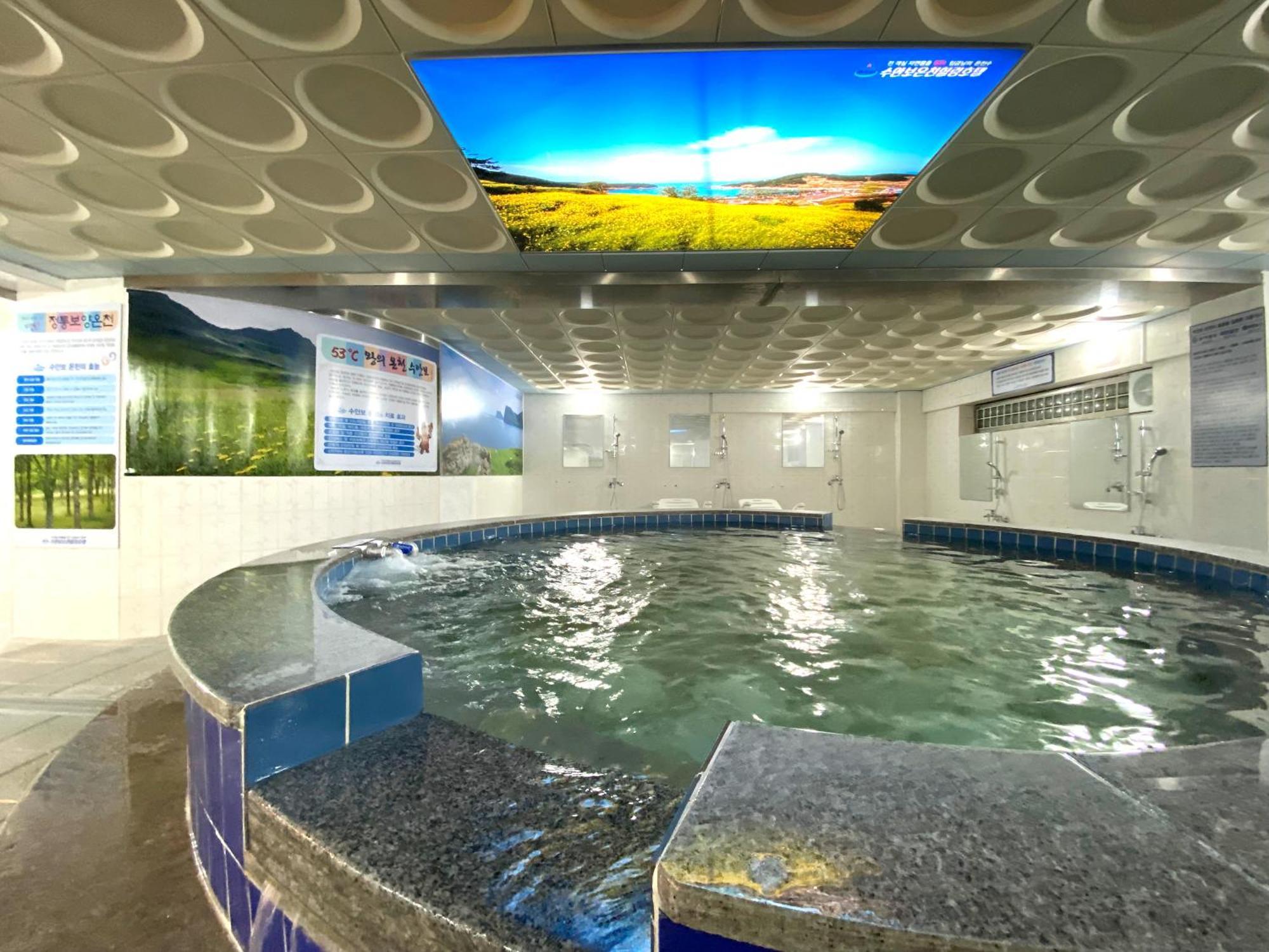 Suanbo Hot Spring Healing Hotel 忠州市 エクステリア 写真
